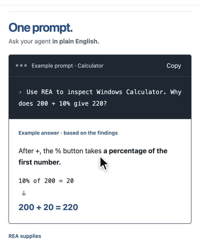 REA website example: a plain-English prompt asks why Windows Calculator gives 200 + 10% = 220, and the answer explains the rule